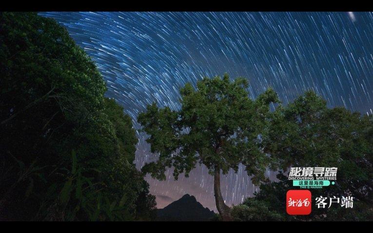 2位幸运的陕西男人,他们都娶了“跳水皇后”,太幸福了