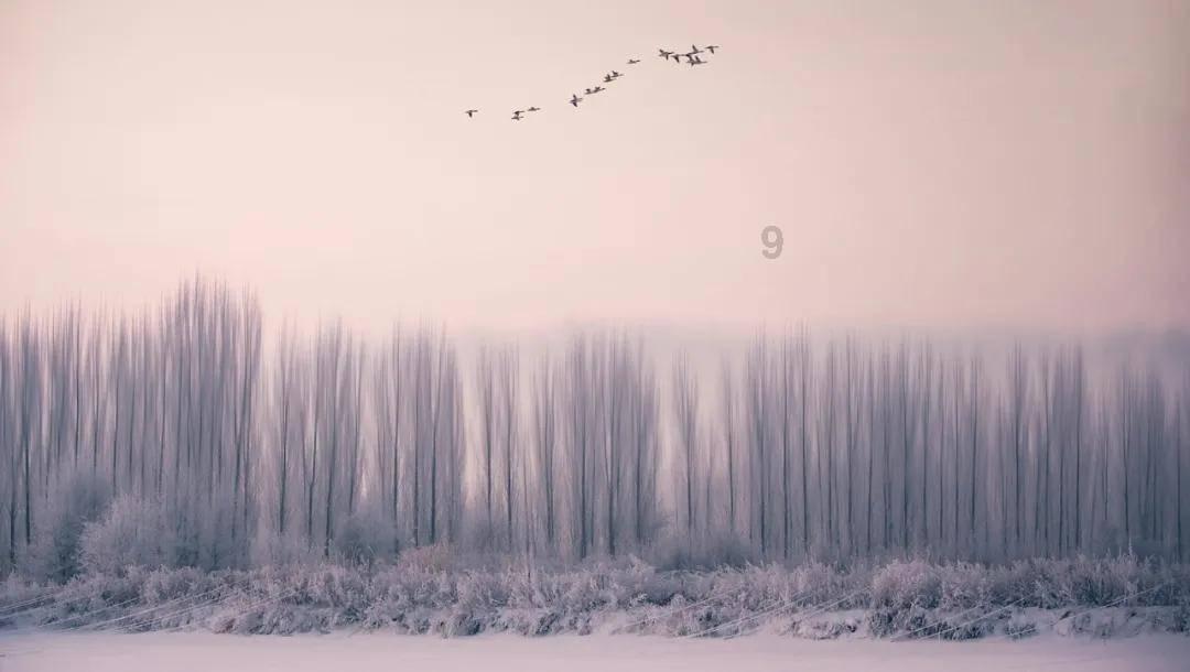 空中战队
