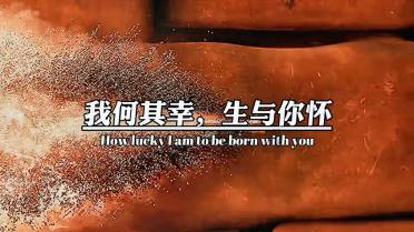 一架伊尔-76运输机在俄罗斯别尔哥罗德州坠毁 机上有65名被俘乌军